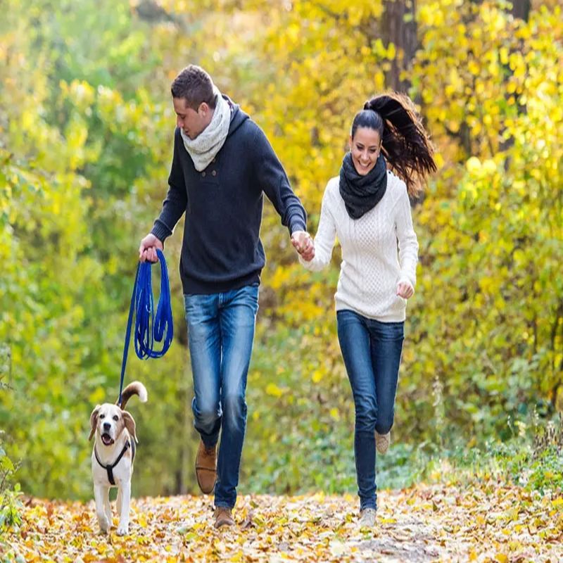 Beagle et ses maitres qui courent dans le bois avec leur longe pour chien