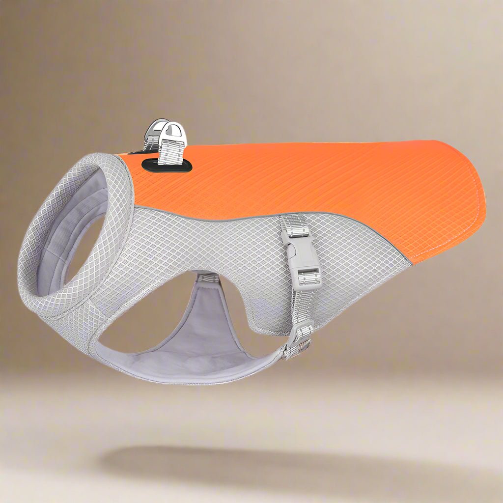 manteau-chien-gris-et-orange