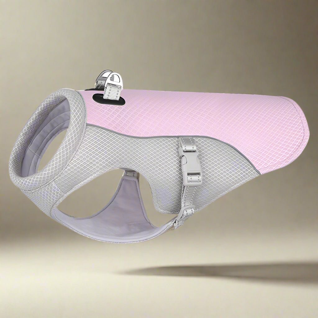 manteau-chien-gris-et-rose