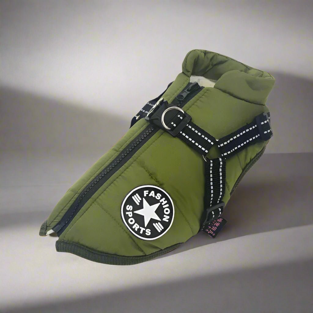manteau-chien-vert
