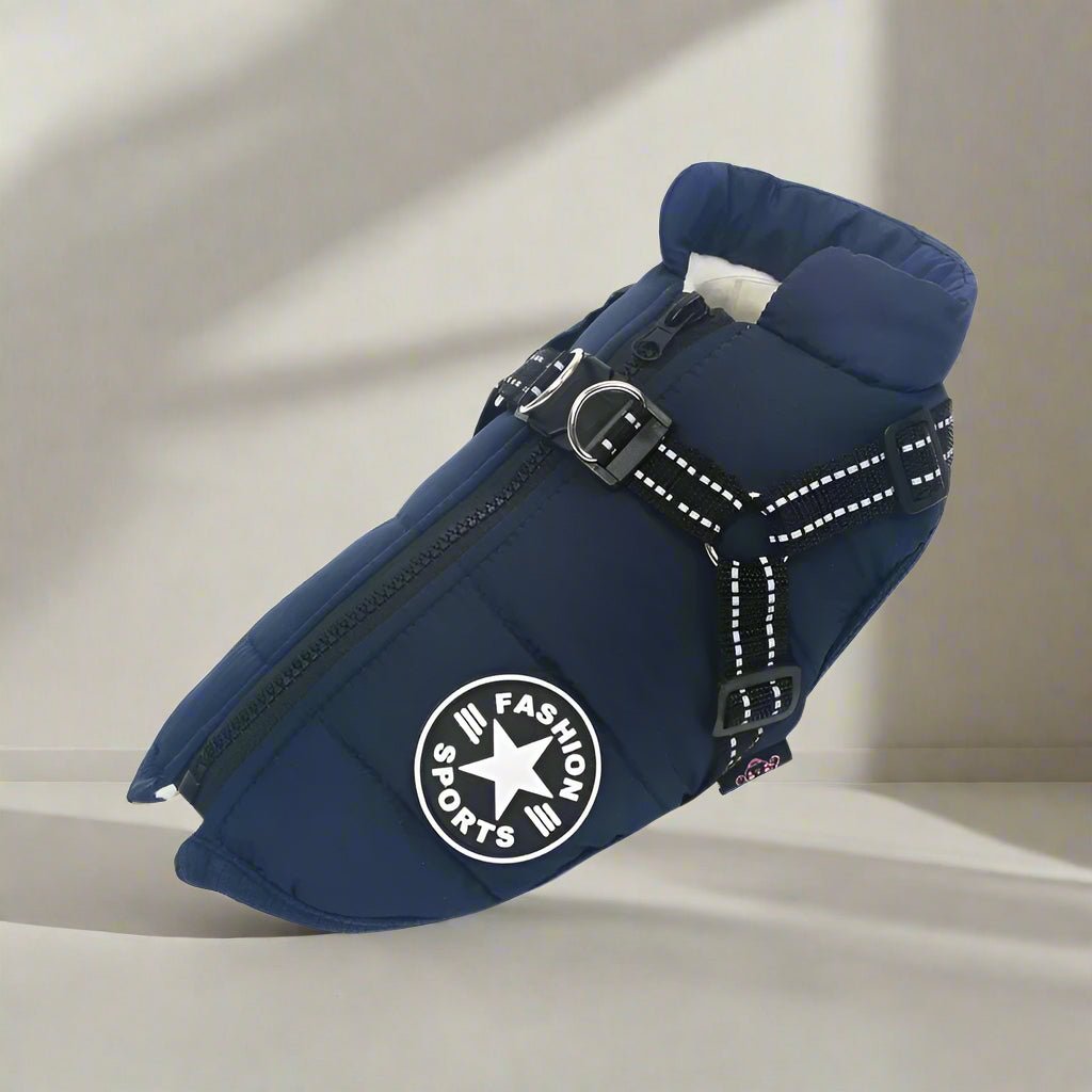manteau-chien-bleu