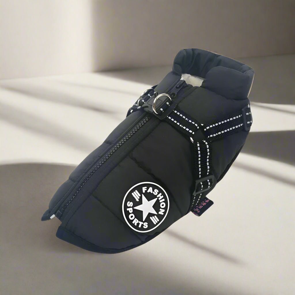 manteau-chien-noir