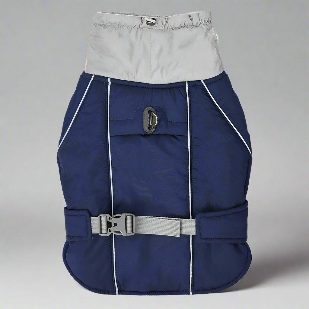 manteau-pour-chien-bleu-impermeable