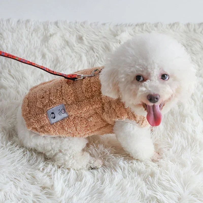 bichon-frise-assis-avec-son-manteau-pour-chien-beige