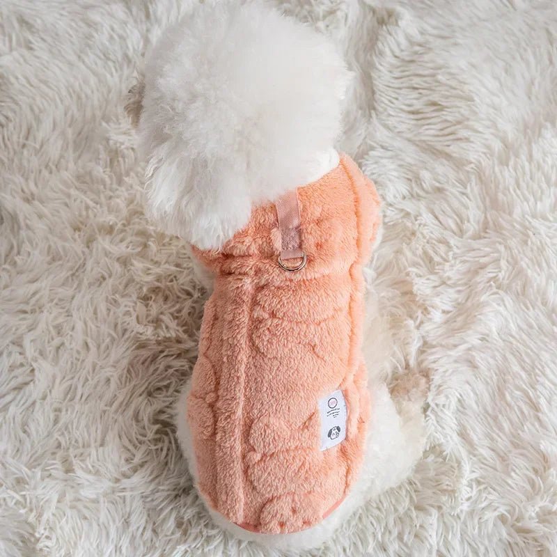 manteau-pour-chien-orange