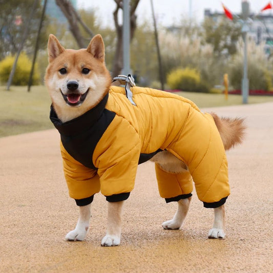 Manteau pour chien | WinterDoggy - Les Plaisirs Canins