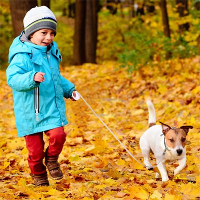 petit garçon et son chien en promenade dans le bois avec leur Laisse pour chien compacte adaptée aux sorties familiales