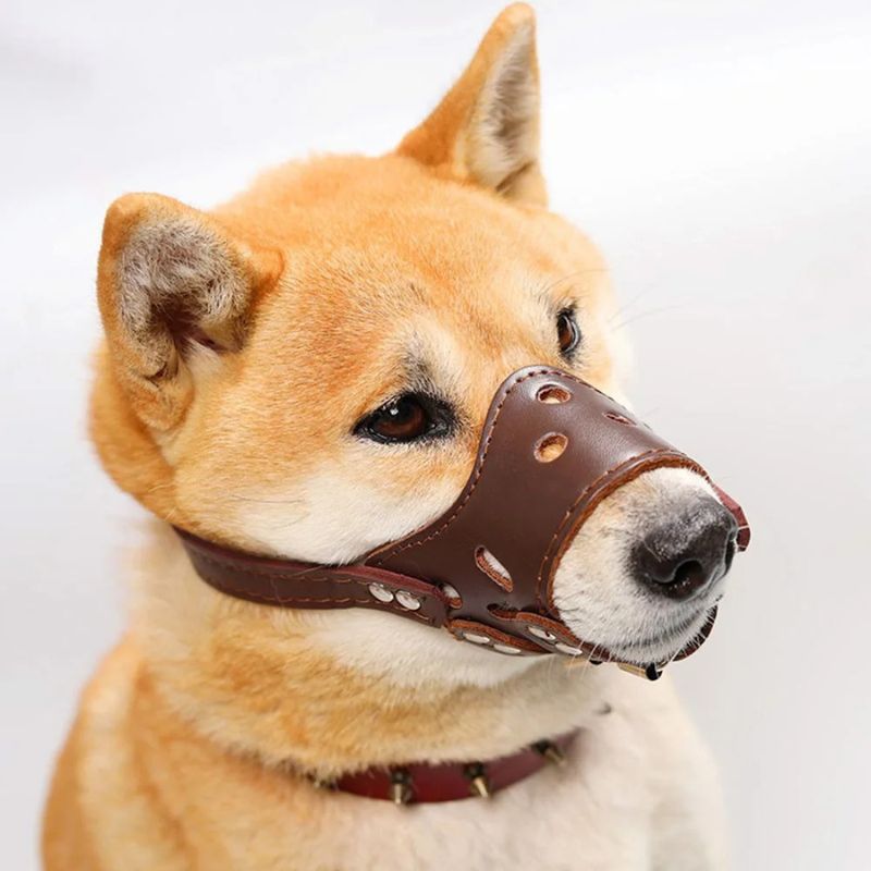museliere-chien-cuir-marron