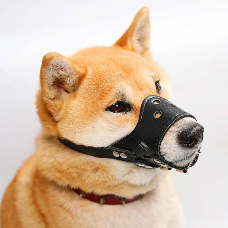 museliere-chien-cuir-noir