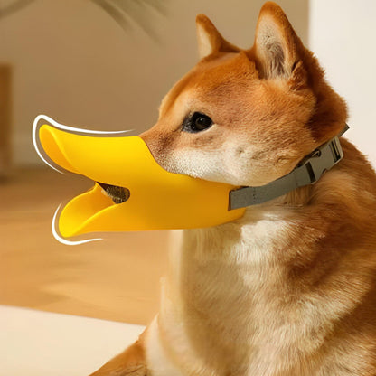 Muselière chien jaune en forme de bec de canard portée par un Shiba vu de profil