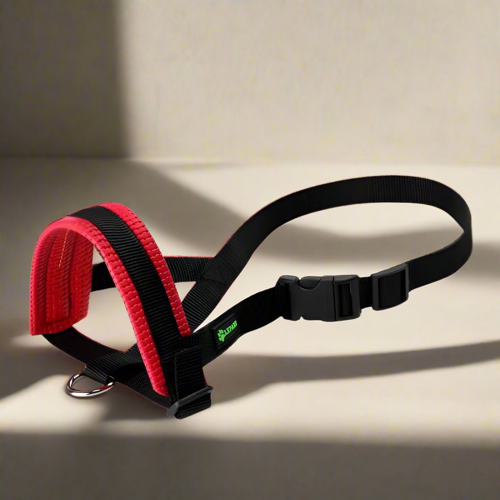 museliere-chien-rouge