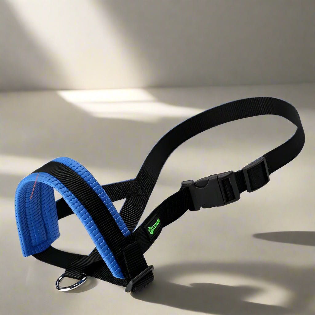 museliere-chien-bleue