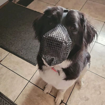 Muselière chien | PetitFilet - Les Plaisirs Canins