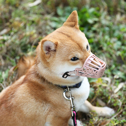 Shiba assis sur l’herbe avec une muselière chien de couleur rose