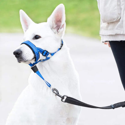 chien-blanc-museliere-pour-chien-en-promenade