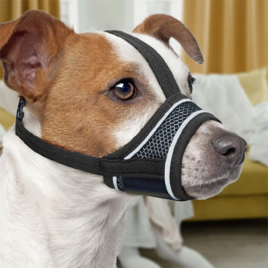 Chien assis à la maison portant une muselière pour chien en tissu noir respirant