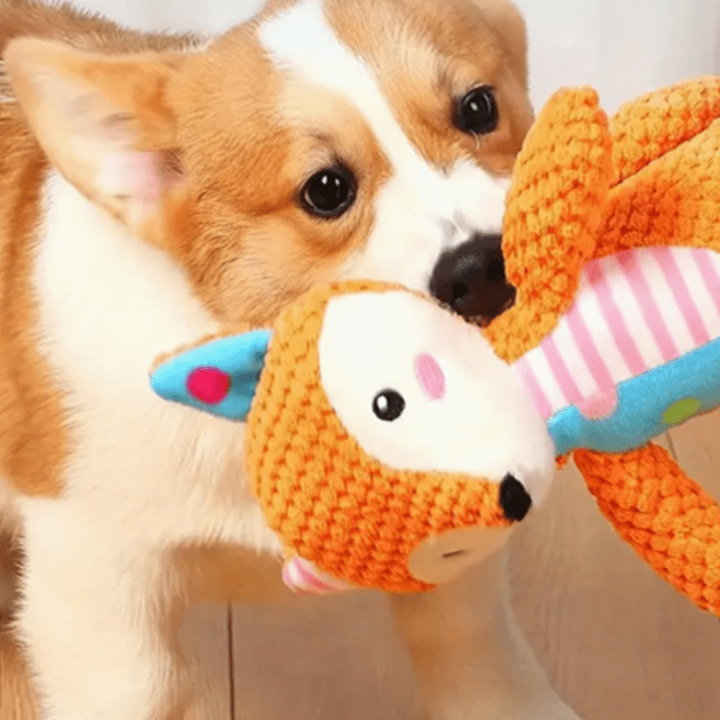 Peluche pour chien | AnimoZoo - Les Plaisirs Canins