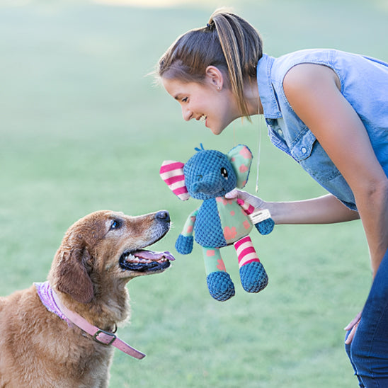 Femme jouant dehors avec un chien et une peluche pour chien éléphant bleu