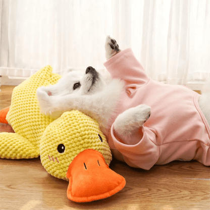 Peluche pour chien | SqueakyDuck - Les Plaisirs Canins