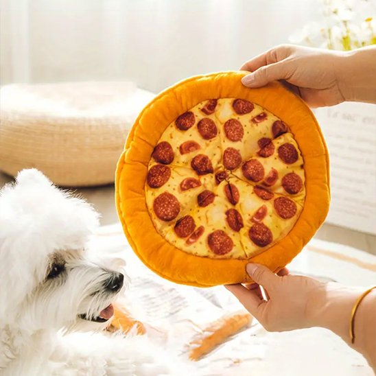 petit chien blanc avec son jouet pour chien pizza