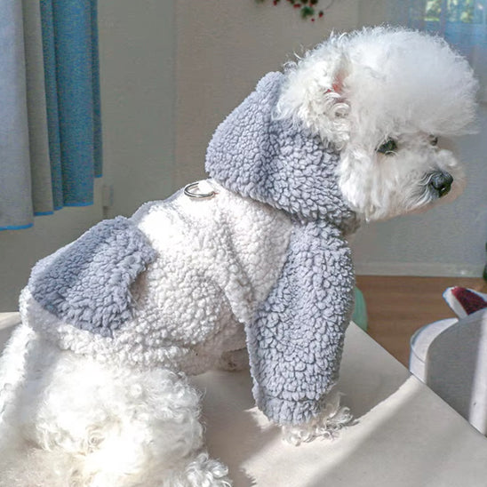 Petit chien assis portant un pull pour chien gris clair et blanc