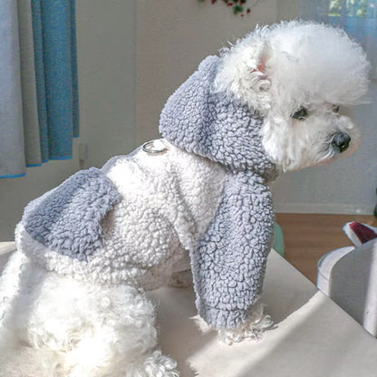 Petit chien assis portant un pull pour chien gris clair et blanc