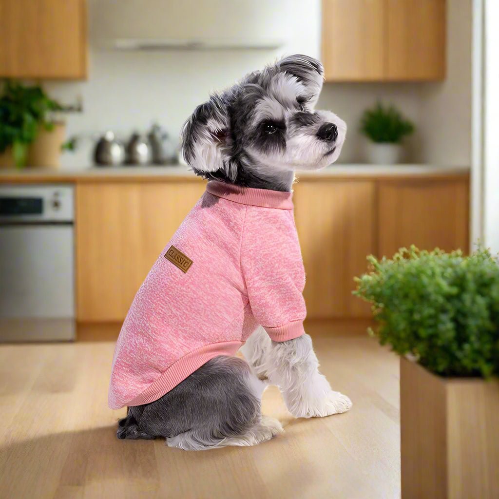 Petit-Chien-Gris-Avec-Son-Pull-Pour-Chien-Rose