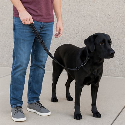 Labrador noir en promenade avec son maitre et sa laisse pour chien en corde, parfaite pour plein air
