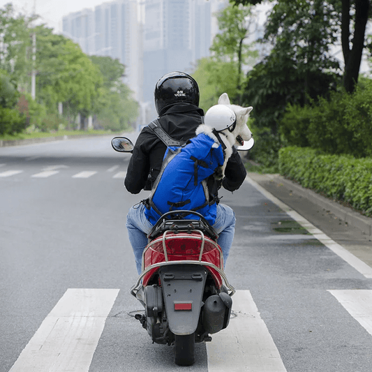 Sac à dos chien | Voyageons - Les Plaisirs Canins