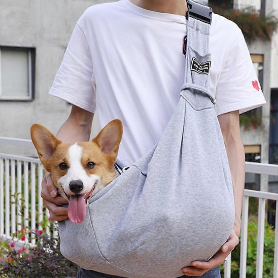 corgi son sac a dos pour chien avec son maitre