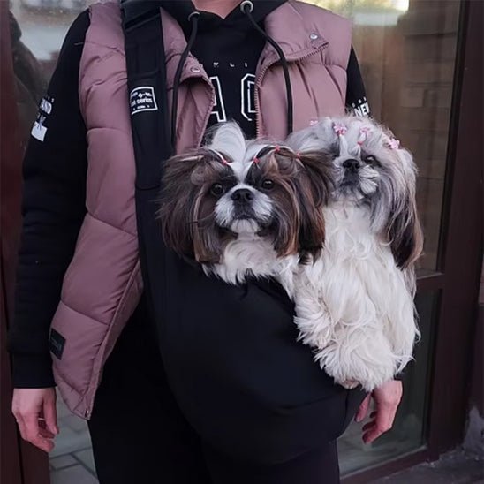 deux chiens dans leur sac a dos pour chien avec leur maitre