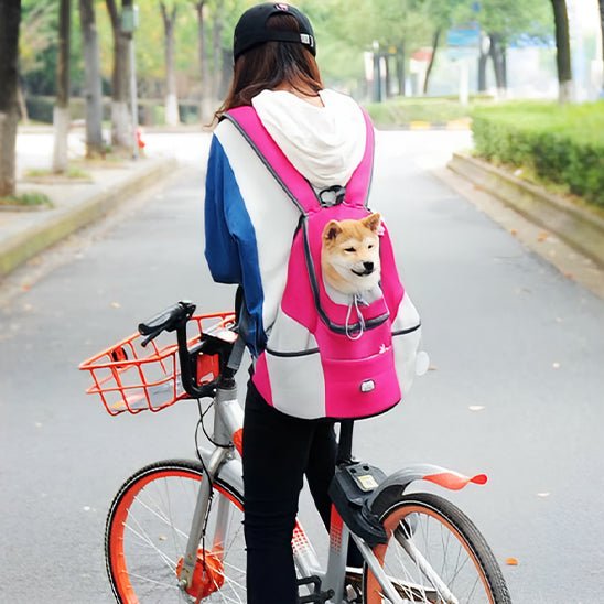 Corgi et son maitre en promenade à vélo dans son sac à dos pour chien