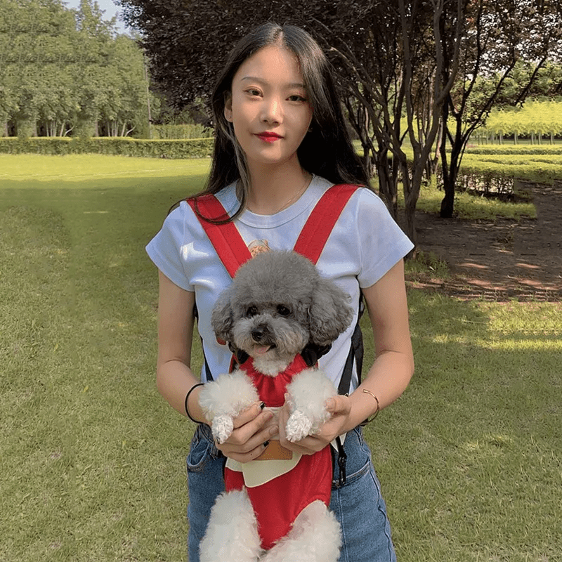 chien blanc et gris en promenade dans son sac de transport chien avec son maitre