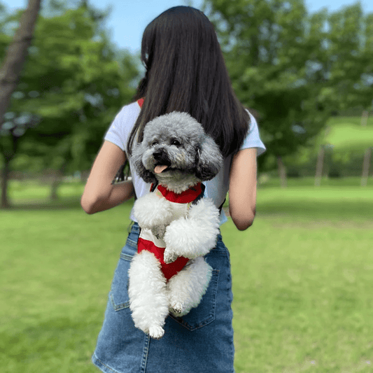 Sac de transport chien | CarryBag - Les Plaisirs Canins