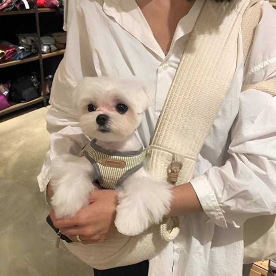 petit chien blanc avec son maitre dans un magasin installé dans son sac de transport chien