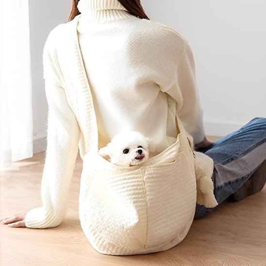 petit chien blanc dans son sac de transport chien attaché à son maitre qui est assis