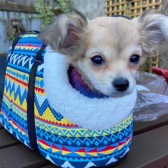 petit chien au chaud installé dans son sac de transport chien