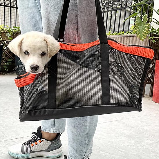 chiot blanc dans son sac de transport pour chien