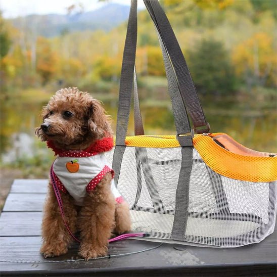petit bichon roux assis devant son sac de transport pour chien au lac