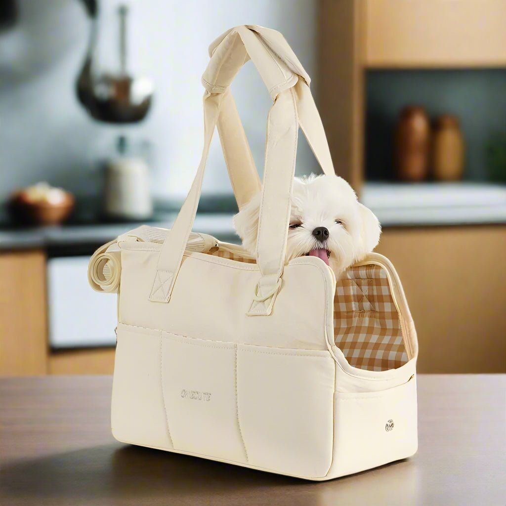 maltais-blanc-dans-sac-de-transport-pour-chien