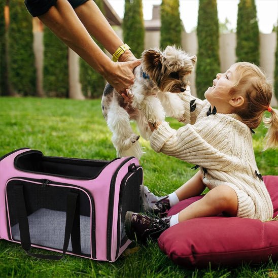 petit chien et petite fille dehors avec leur sac de transport pour chien rose