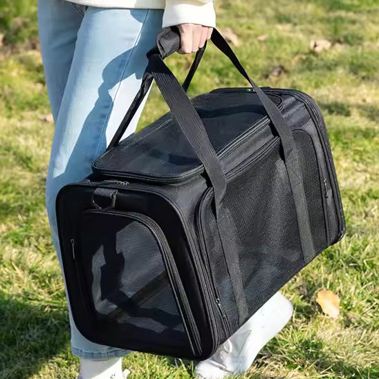 sac de transport pour chien noir dans la main du maitre