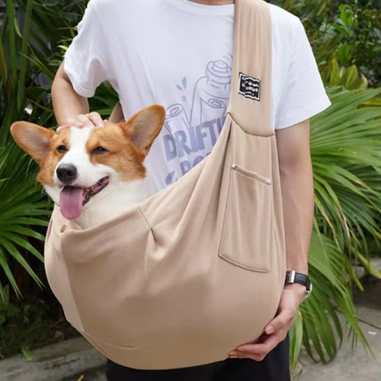 Corgi en promenade avec son maitre dans son sac de transport pour chien 