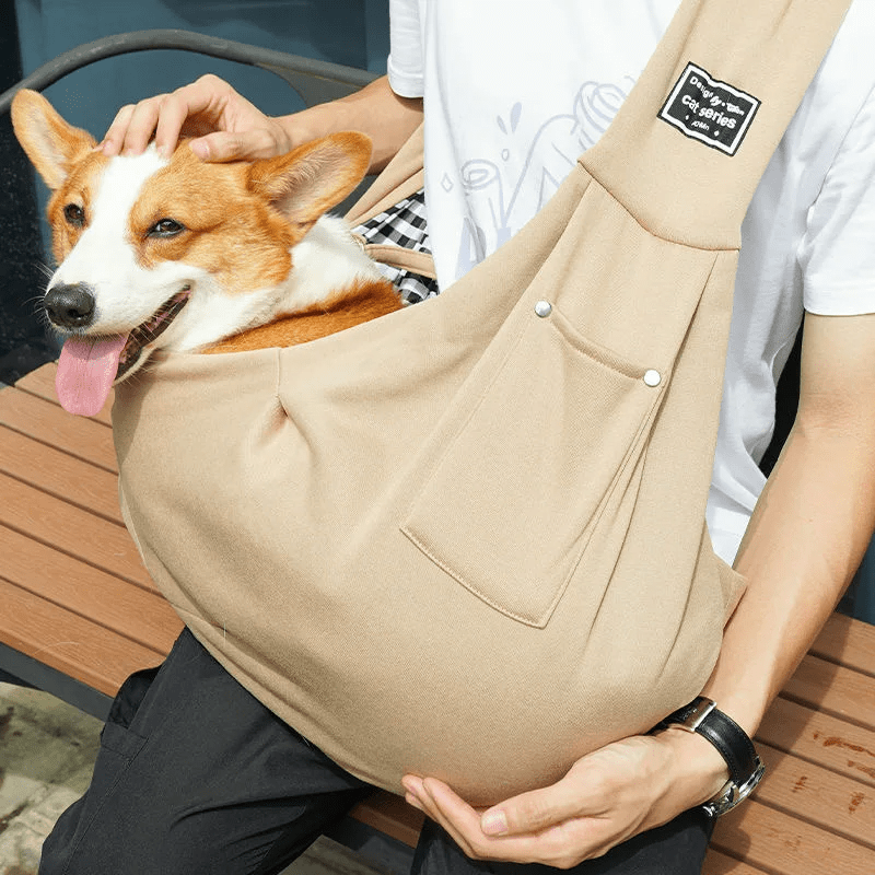 Corgi dehors avec son maitre dans son sac de transport pour chien 