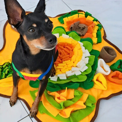 pinscher assis sur son tapis de fouille chien