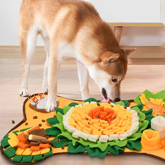 Shiba Inu léchant un tapis de fouille chien jaune et vert rempli de croquettes