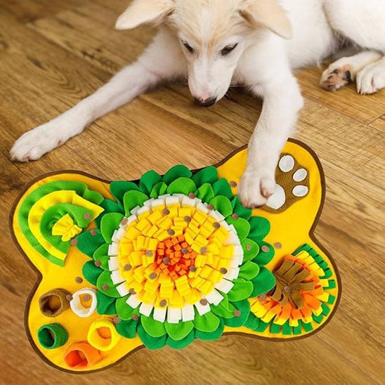 Chien blanc jouant avec un tapis de fouille chien jaune, vert et orange sur parquet