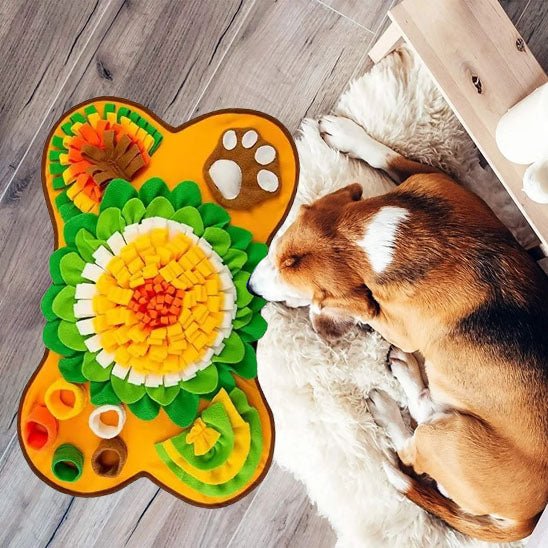 Beagle couché à côté d’un tapis de fouille chien coloré en forme d’os