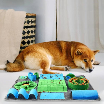 shiba inu couché devant son tapis de fouille chien