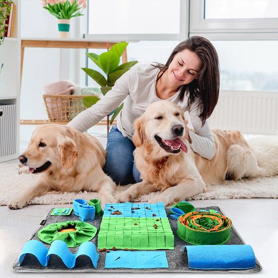 Deux Golden retriever avec leur maitre et leur tapis de fouille chien 